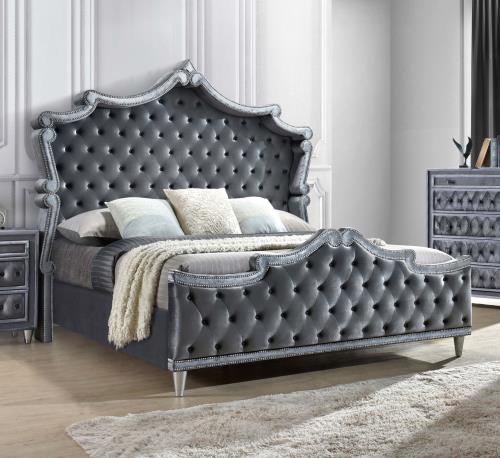 coaster-bedroom-Antonella-Upholstered-Tufted-California-King-Bed-Grey