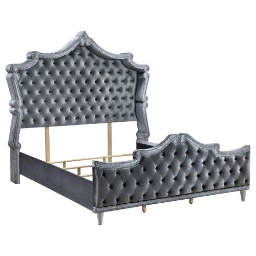 coaster-bedroom-Antonella-Upholstered-Tufted-Queen-Bed-Grey-hover